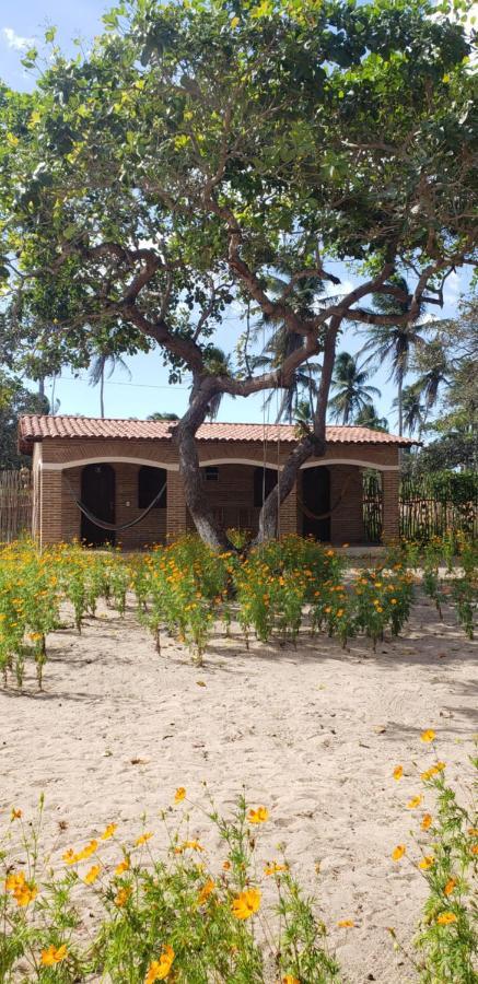 Pousada Vila Mangue Seco Jijoca de Jericoacoara Bagian luar foto